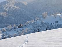 Spuren im Schnee zum Hof Hausmatt  