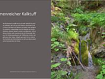 Formenreicher Kalktuff