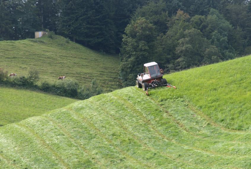 Mähen einer Bergwiese auf dem Ulmet Foto: Thomas Mosimann