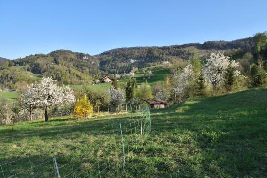 Hausmatt Buertengraben TM