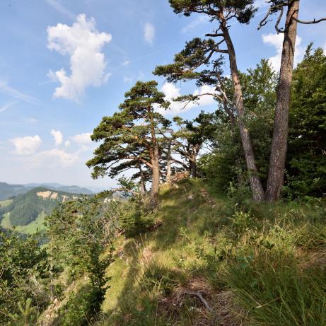 Ämmenegg Foto: Thomas Mosimann