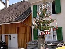 Maibaum beim Vorstattbrunnen
