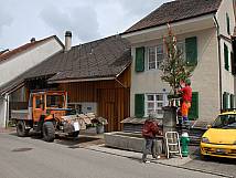 Maibaum montieren 2011 beim Vorstattbrunnen