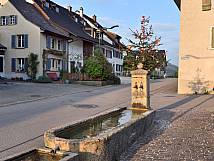 Maibaum 2019 beim Dorfbrunnen