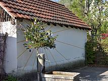 Maibaum 2019 beim kleinen Vorstattbrunnen