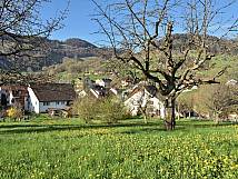 vom Eggweg her Blick auf die Bündtenmatt